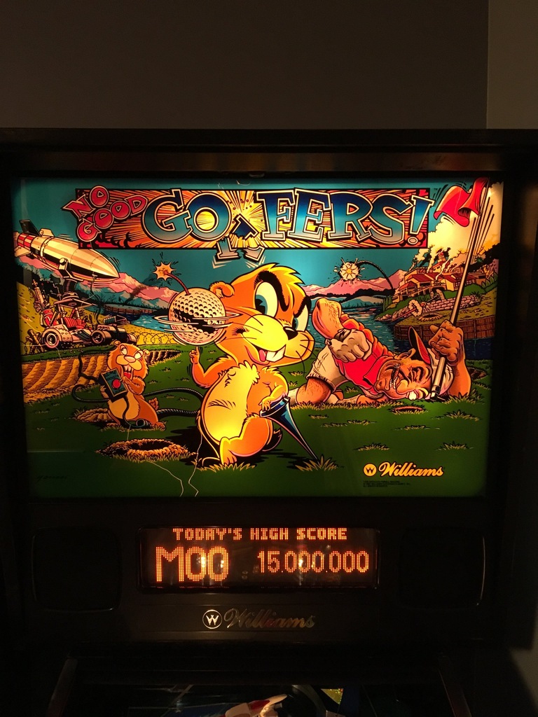 Flipper pinball No good gofers