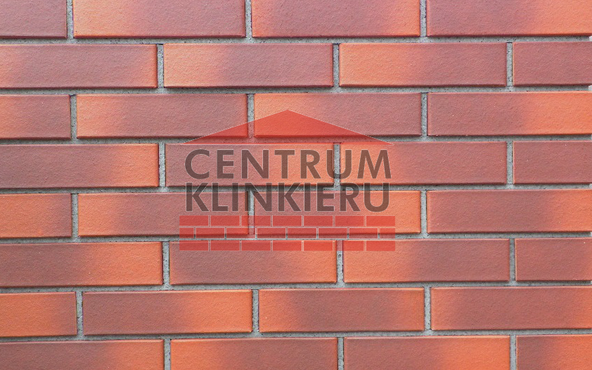 LODE CAMELEO CEGŁA DZIURAWKA CIENIOWANA