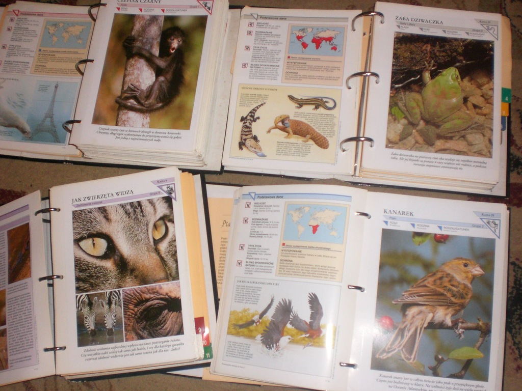 ENCYKLOPEDIA ZWIERZĄT od A do Z  KARTY Z GRUP 1-11