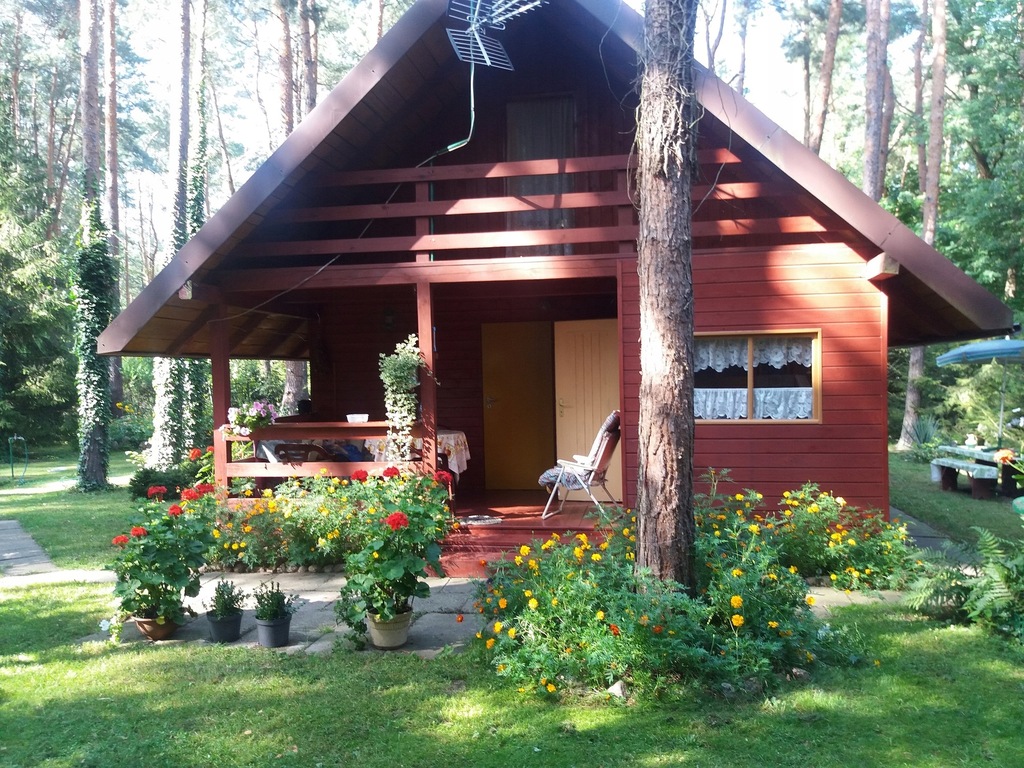 Drewniany dom letniskowy z działką Grotniki - Orła