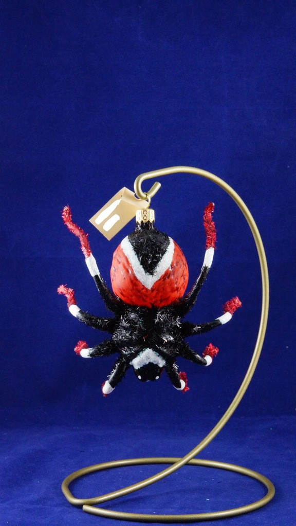 PRZEPIĘKNA BOMBKA PAJĄK TARANTULA