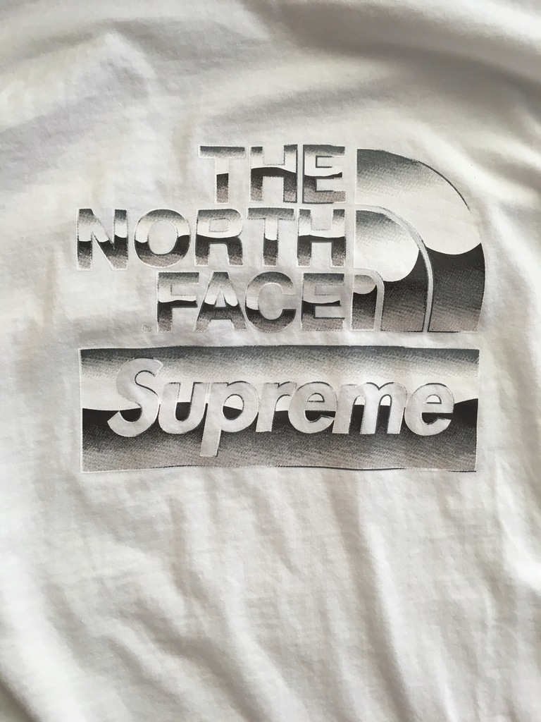 supreme tnf metallic tee