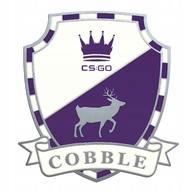 CS:GO Pin Odznaka Cobblestone STEAM