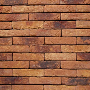 CEGŁA PEŁNA PRIMULA 29 DF 210x100x65 MM