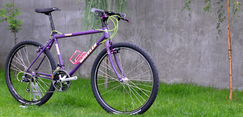 wheeler 2000 mountain bike