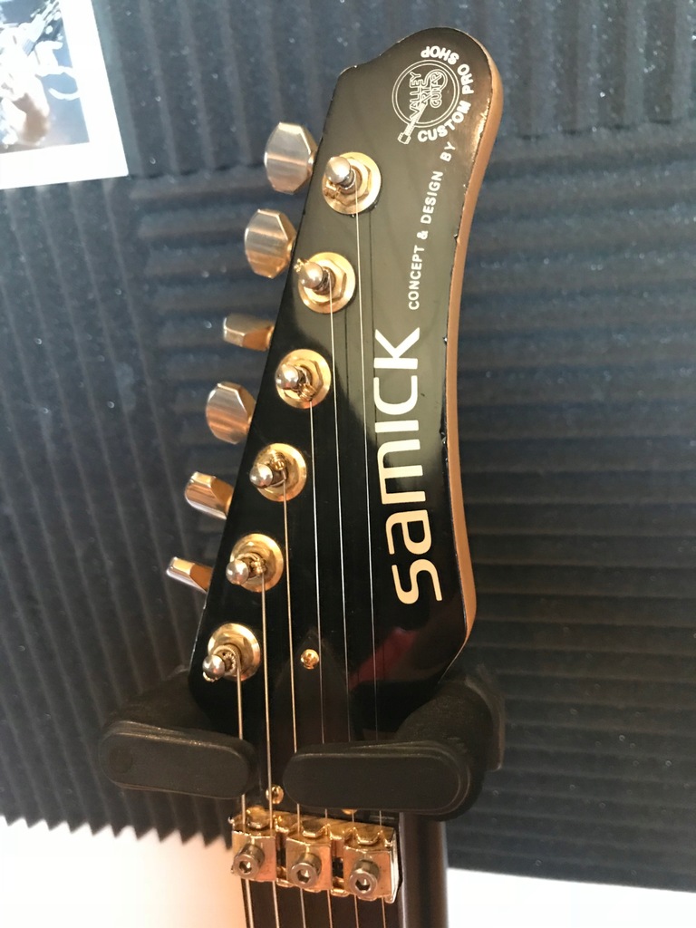SAMICK -Custom Pro Shop, Valley Arts Guitar, Floyd