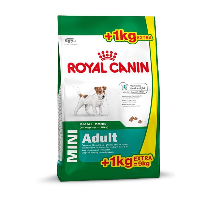 Karma Royal Canin SHN Mini Adult 8kg + 1kg - 7234452941 - oficjalne ...