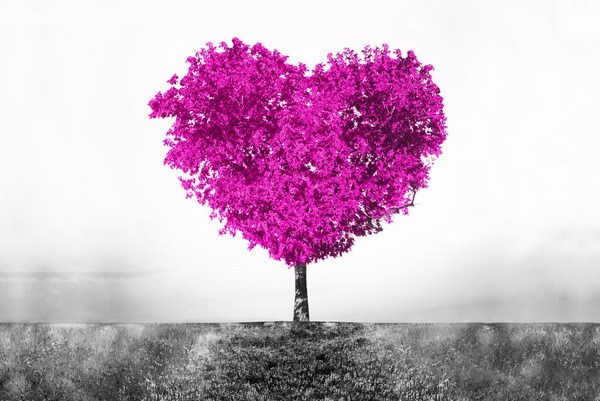 Fototapeta TREE OF LOVE miłość serce przyroda