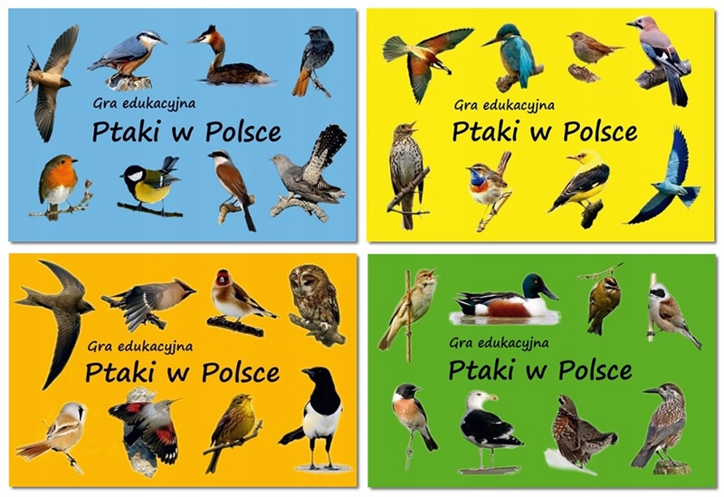Ptaki Polskie Opisy I Zdjęcia
