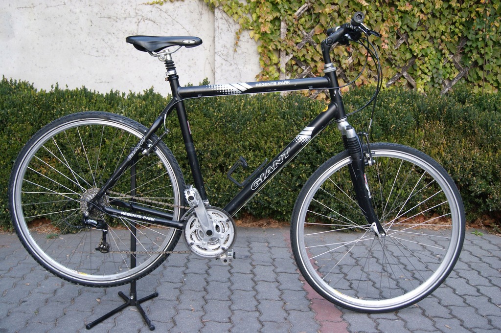 giant regents park bike