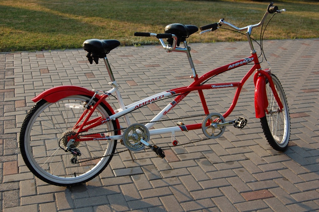 Rower tandem