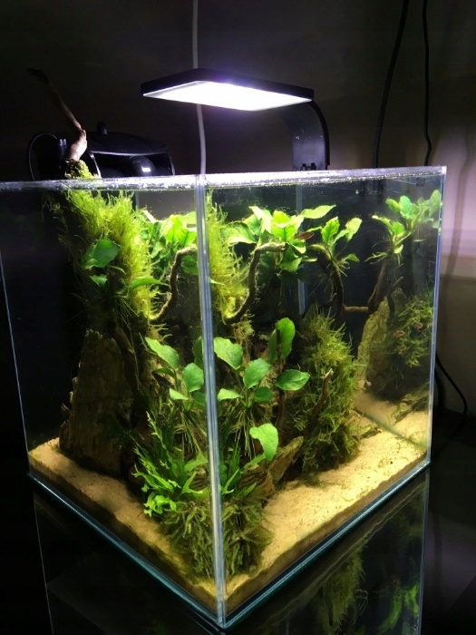 Akwarium 30L + cały osprzęt Aquael