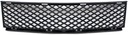 GRILLE IN BUMPER 202427 photo 1 - milautoparts-fr.ukrlive.com