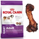 Royal Canin Chicken suché krmivo pre aktívnych psov 15 kg Počet kusov v balení 1 ks