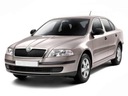 GLASS LINER MIRRORS SKODA OCTAVIA 2 II 04-08 EL.P photo 2 - milautoparts-fr.ukrlive.com