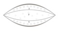 Vankúš AMZ Outlast 3-komorové husacie páperie 80x80 Dĺžka (cm) 80