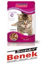 Benek Junior Lamb пакетики 24х100г для кошек