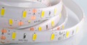 СТРІЧКА LED (СВІТЛОДІОД) 5630 300LED (СВІТЛОДІОД) IP65 ВОДОВІДШТОВХУЮЧА ХОЛОДНА 0.5M  (7472912231) фото min 9