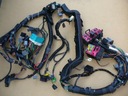 FORD TRANSIT 2000- WIRE ASSEMBLY ELECTRICAL ENGINE 1C1T-14401-PN NEW CONDITION photo 1 - milautoparts-fr.ukrlive.com