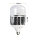 LED žiarovka Globe E40 50W=400W biela studená Kód výrobcu 1101K001202