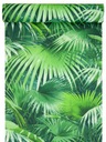 TAPETY v palmových listoch tropické podnebie džungle EAN (GTIN) 4000441524703