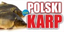 Рекламный баннер - Карп Рождественский AD 200x100см