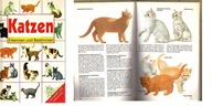15146 Katzen: Kompakt und informativ (Erkennen und