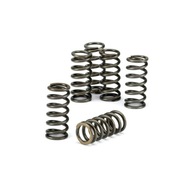 Комплект пружины sprzeglowych ebc ktm egs exc csk011