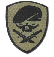 KAMPFHUND Naszywka Medal Of Honor Skull Coyote Tan