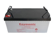 Akumulátor Koyosonic NPG200-12