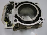 Может, я могу am outlander g2 650 1000 цилиндр