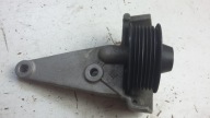 support roll pulley RENAULT MEGANE III 1.4 TCE