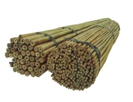 BAMBUSOVÁ TYČ 75 cm 6/8 mm /25 ks/, bambus