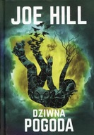 Dziwna pogoda, Joe Hill