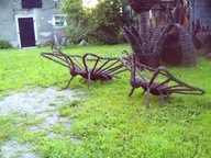 Przepiękny MOTYL do Twojego Ogrodu!