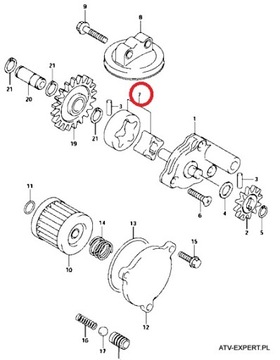 РЕЖИМ ШЕСТЕРНИ МАСЛЯНОГО НАСОСА SUZUKI LTZ DRZ KFX 400 FV