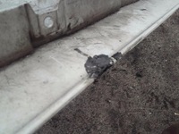 фото thumb №7, Обшивка, правый панель фары противотуманной фары actros mp4