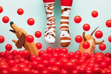 Разноцветные носки MANY MORNINGS Sausagedog 39–42