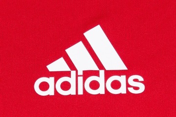 Мужская футболка Adidas Entrada 18, XL