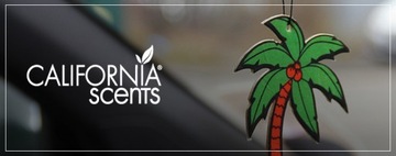 Аромат CALIFORNIA CAR SCENTS NEWPORT NEW CAR HIT