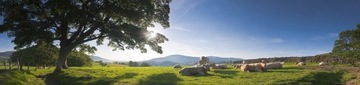 PASTUCH KOMPLETNY ZESTAW BRAMOWY UCHWYT, SPRĘŻYNA