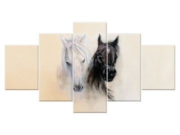 Image animals black and white 150x80 horses, фото