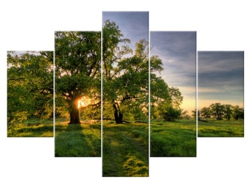 Image triptych wieczorny walk 150x105 parking lot 87a_ 5h, фото