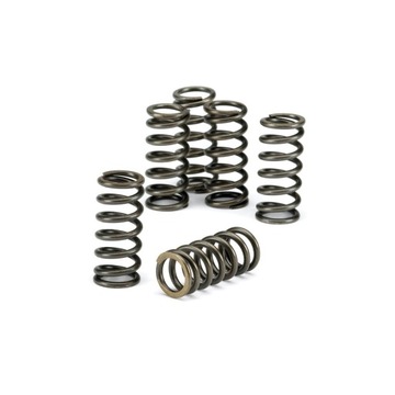 Complete springs vaccination ebc ktm egs exc csk011, фото