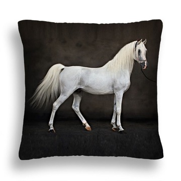 Cushion 40x40 pillowcase+ liner champion horse 22, фото
