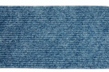 Coating fair maltese blue 300x400@18021, фото