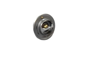 Thermostat ford escort vi fiesta 3 4 ka, фото