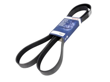 Bosch 1 987 947 556 v-belt polyclinic, фото