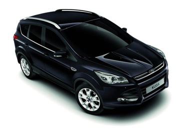ПЕРЛАМУТРОВАЯ БАЗА FORD PANTHER BLACK 1 ЛИТР IXELL 55