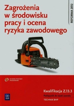 Опасности и оценка рабочей среды. Квал.Z.13.3